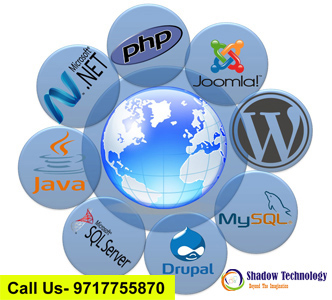 Website development company in gurgaon- Shadowtechnology.in