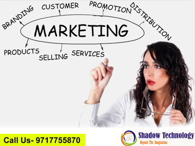 Website Promotion Company in Gurgaon-Shadowtechnology.in